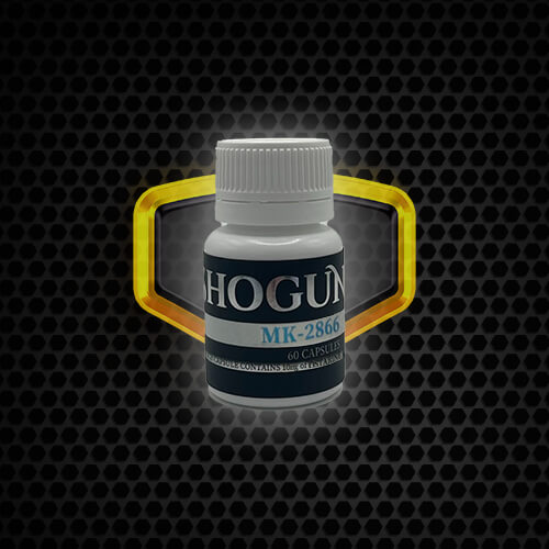 mk2866.jpg