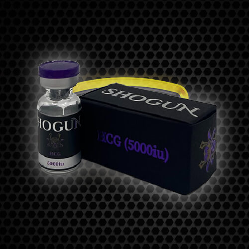shogun hcg.jpg